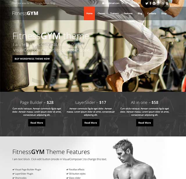 FitnessGYM - WordPress Sport/Fitness Theme FitnessGYM - WordPress Sport/Fitness Theme