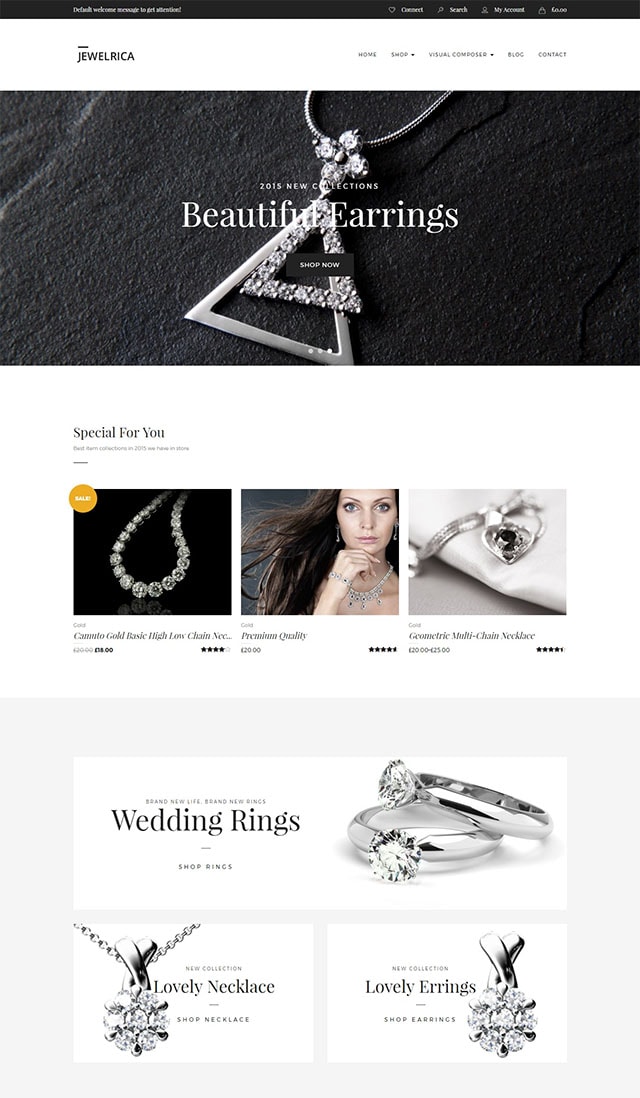 Jewelrica -  eCommerce WordPress Theme