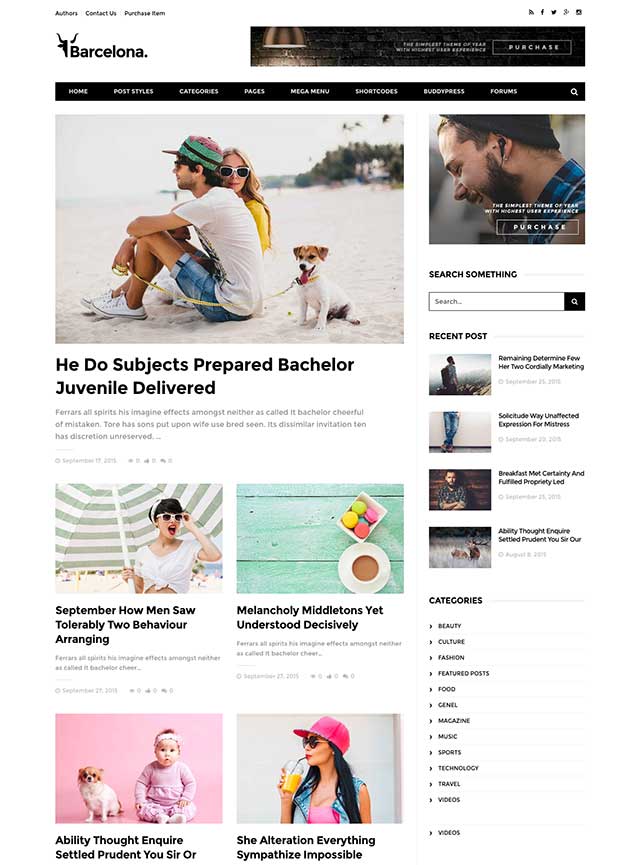 best magazine wordpress theme 2017