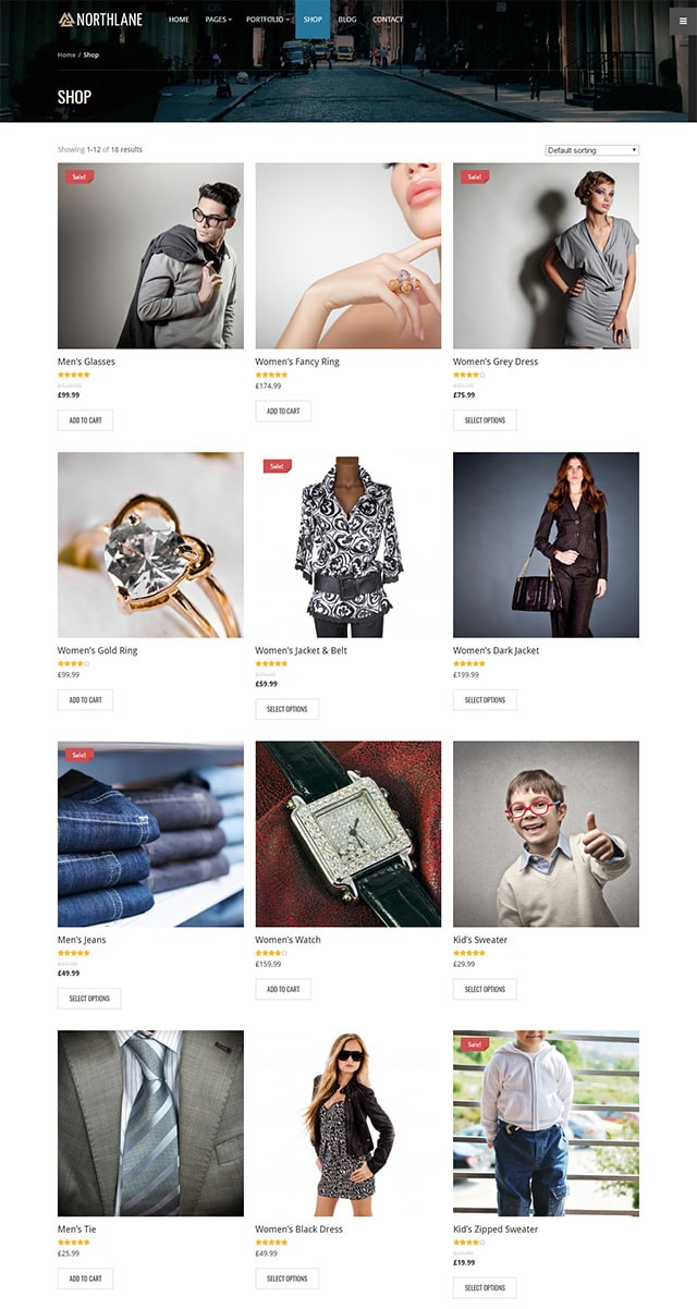 Northlane - eCommerce WordPress Theme Northlane - eCommerce WordPress Theme